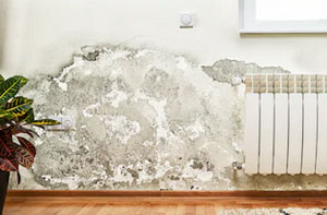 Damp Proofing Specialists Damp Proofing Manchester Greater Manchester