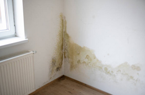 Damp Proofing Specialists Damp Proofing Yarm North Yorkshire