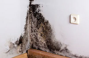 Damp Proofing Specialists Damp Proofing Madeley Shropshire