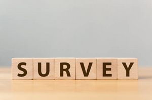 Cellar Conversion Surveys Woodbridge (01394) Cellar Conversion Surveys Woodbridge (01394)