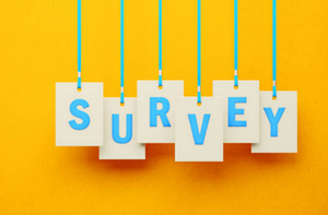 Cellar Conversion Surveys Billericay (01277) Cellar Conversion Surveys Billericay (01277)